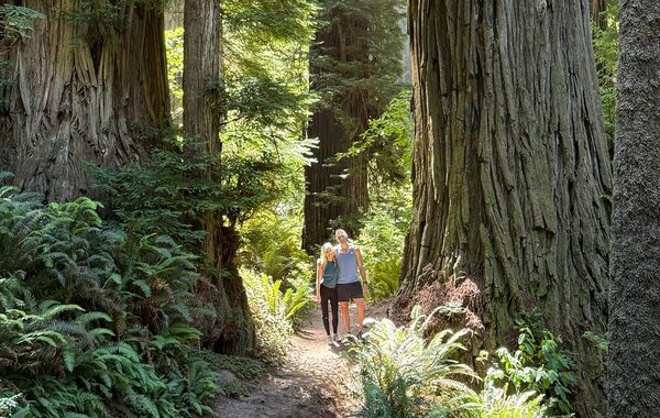 Roadtrip: California