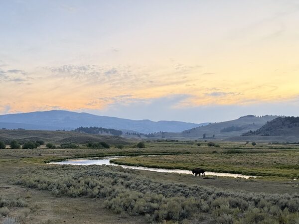 Roadtrip: Yellowstone